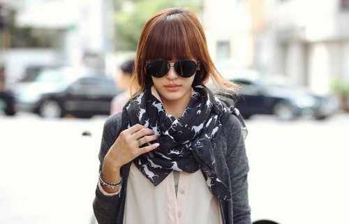 Giraffe Print Soft Celebrity Scarf Animal Fashion Large Long Shawl Scarves Available in Red Black Pink Yellow and Grey (Black)