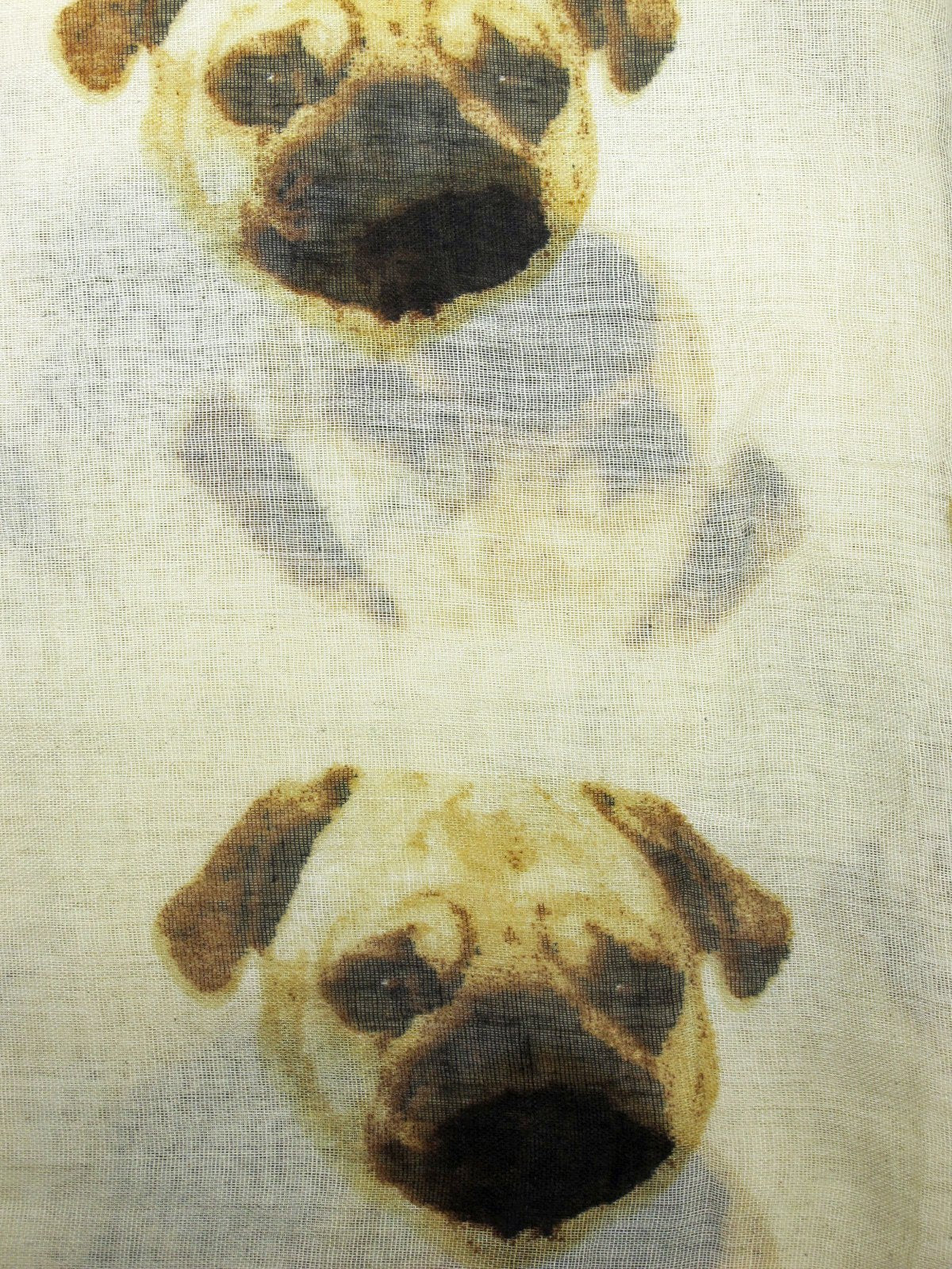 Cute Pug Dog Printed Ladies Scarf (Cream)
