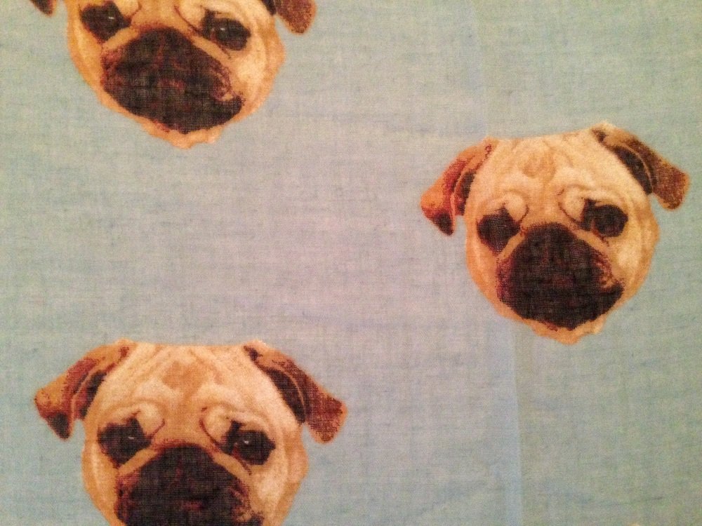 Grey Ladies Pugs Dog Print Design Fashion Scarf - Pug Gift Wrap Available