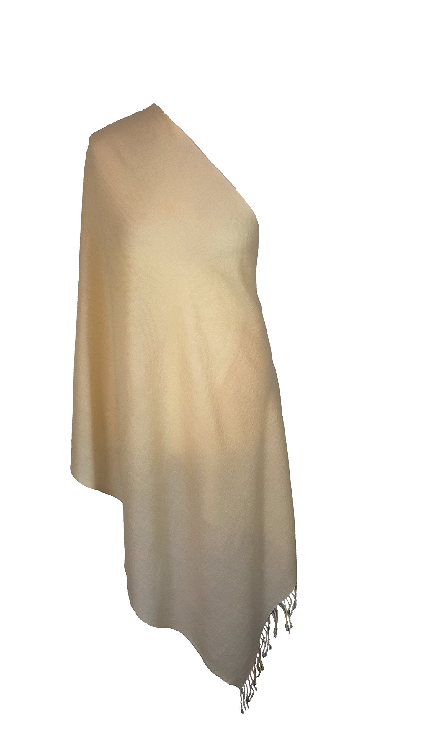 World of Shawls Exclusive Kashmiri Wool Pashmina Shawl Wrap Scarf