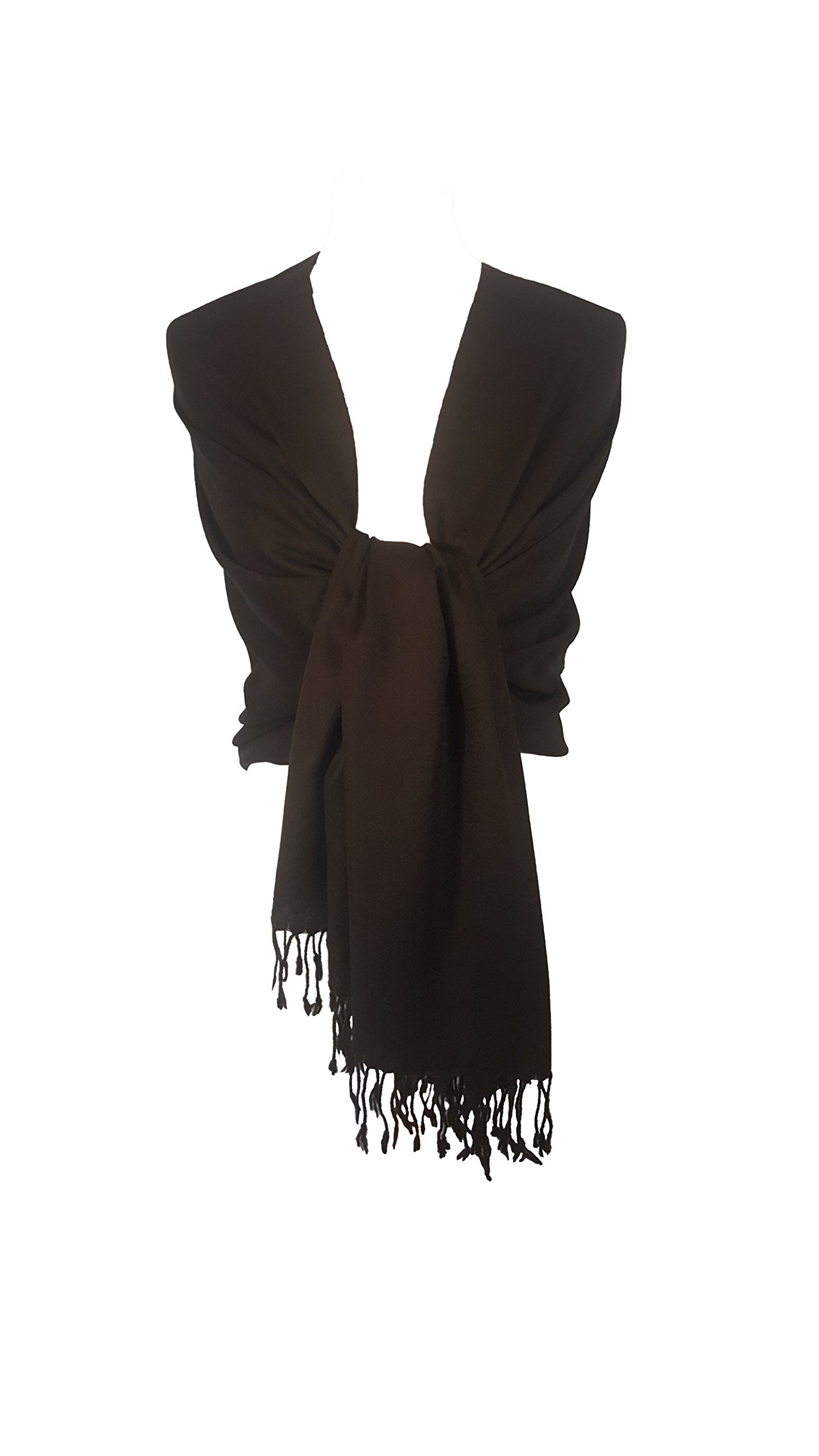 World of Shawls Exclusive Kashmiri Wool Pashmina Shawl Wrap Scarf