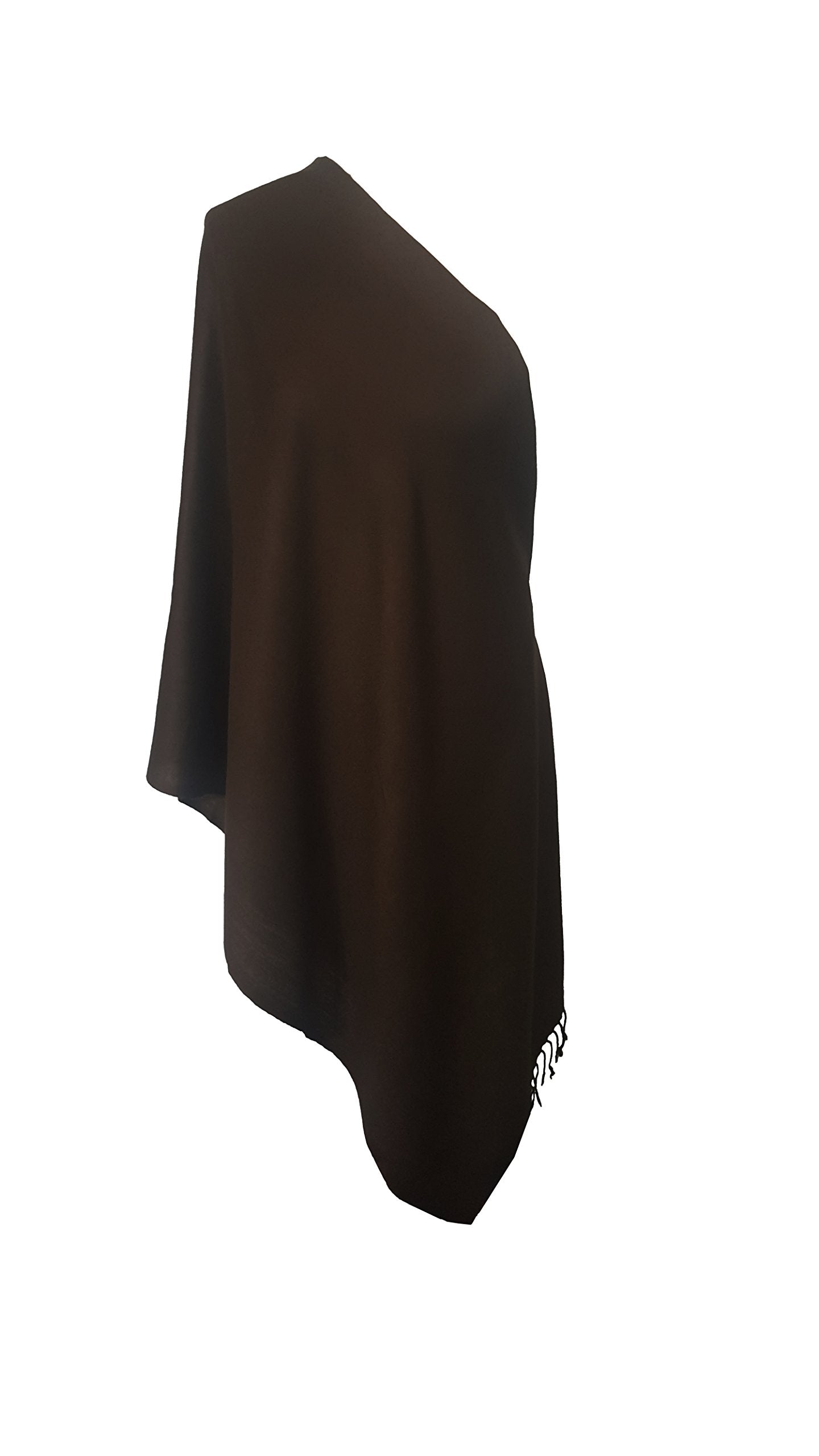 World of Shawls Exclusive Kashmiri Wool Pashmina Shawl Wrap Scarf