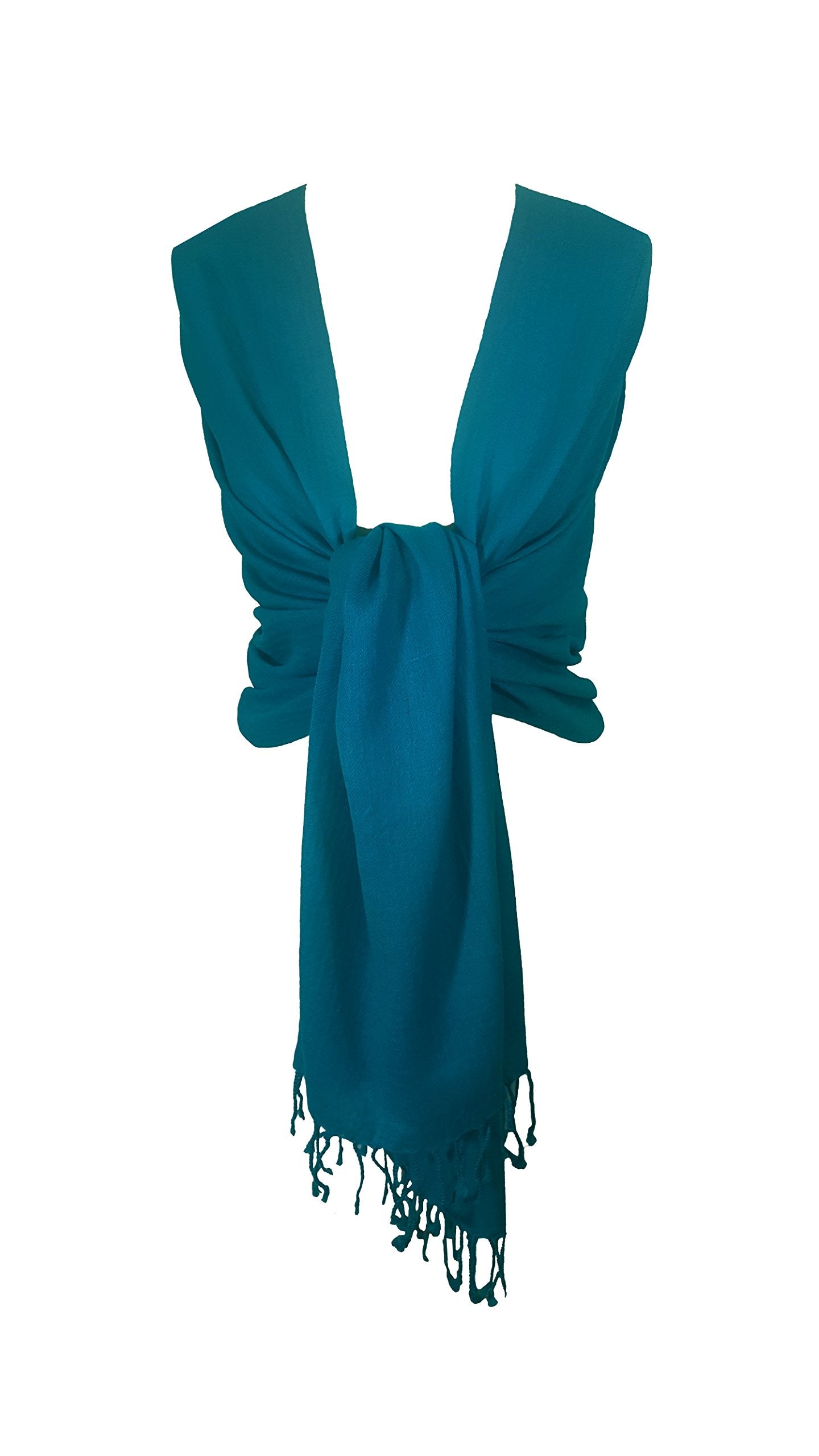 World of Shawls Exclusive Kashmiri Wool Pashmina Shawl Wrap Scarf