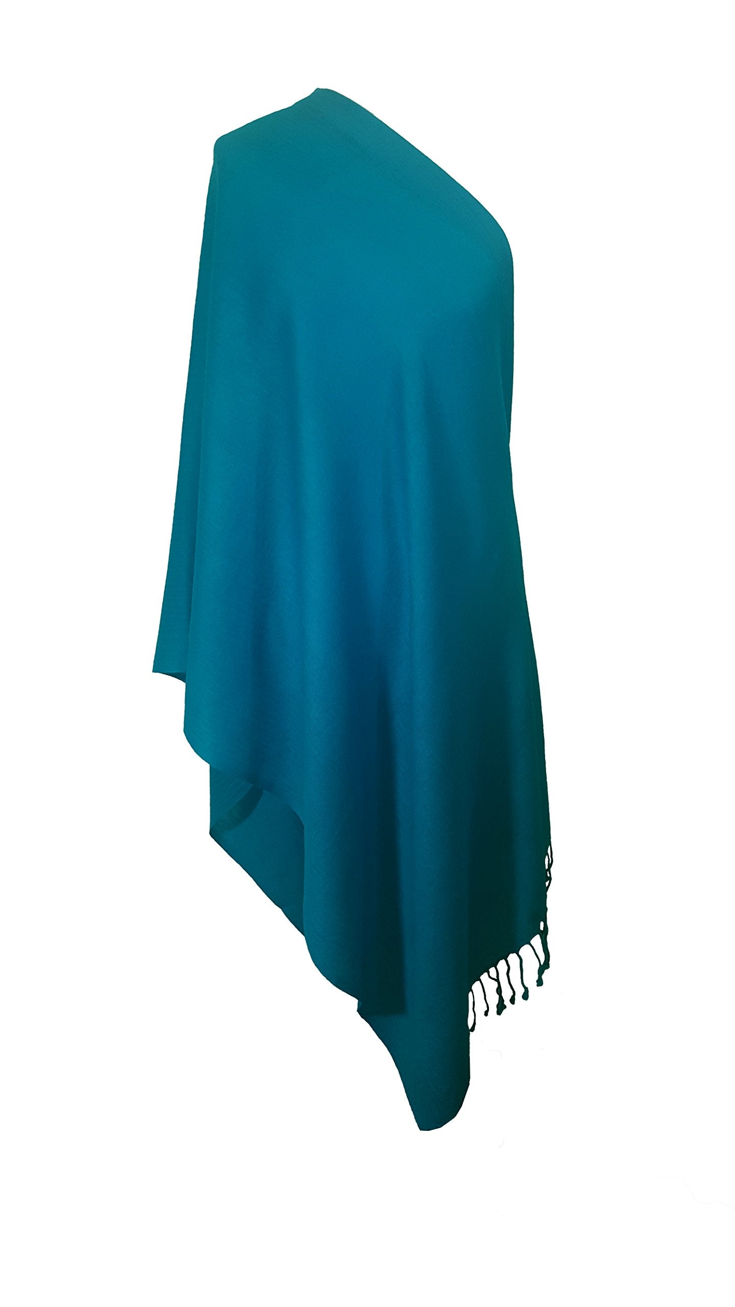 World of Shawls Exclusive Kashmiri Wool Pashmina Shawl Wrap Scarf