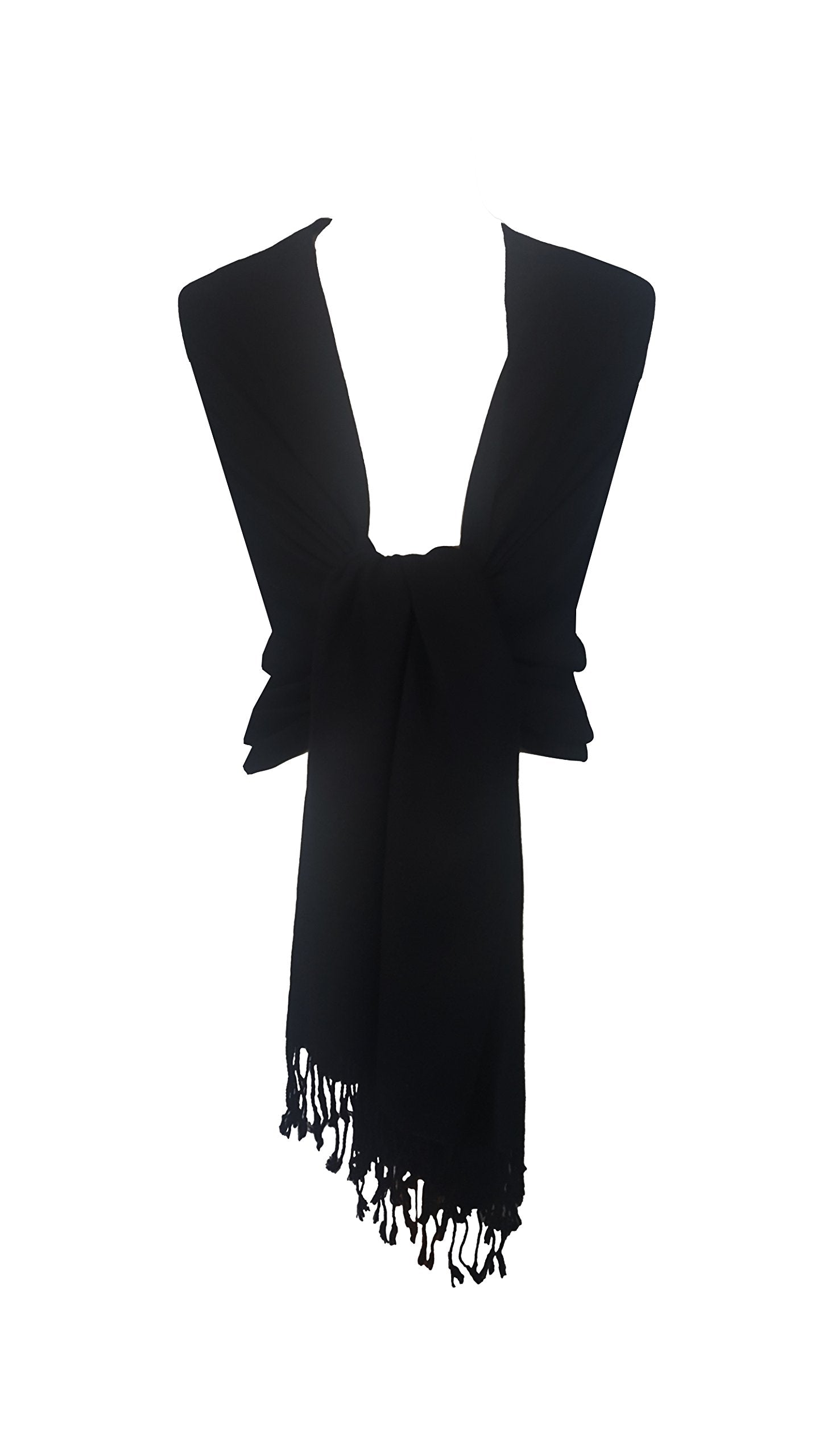 World of Shawls Exclusive Kashmiri Wool Pashmina Shawl Wrap Scarf