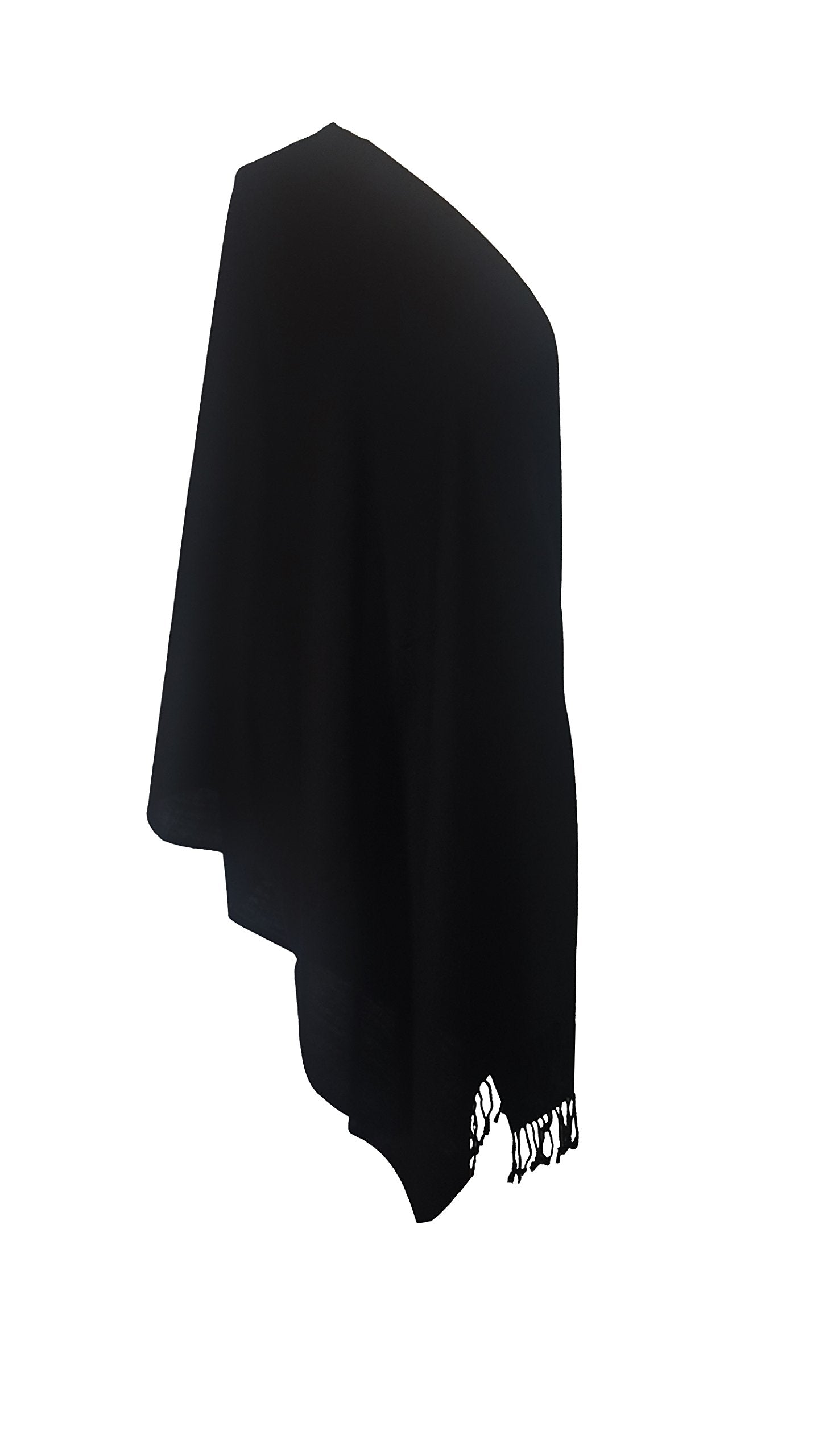 World of Shawls Exclusive Kashmiri Wool Pashmina Shawl Wrap Scarf