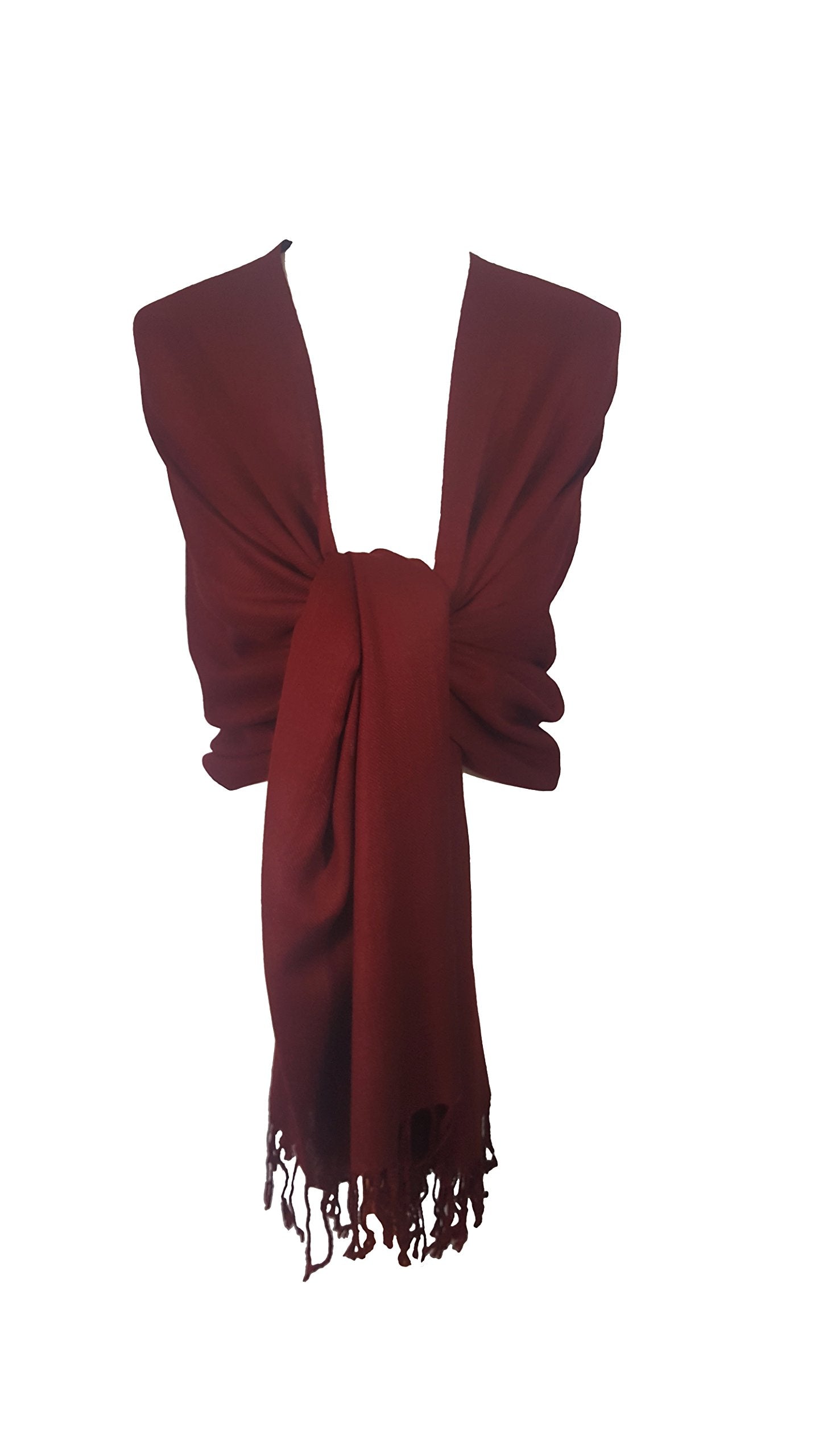 World of Shawls Exclusive Kashmiri Wool Pashmina Shawl Wrap Scarf