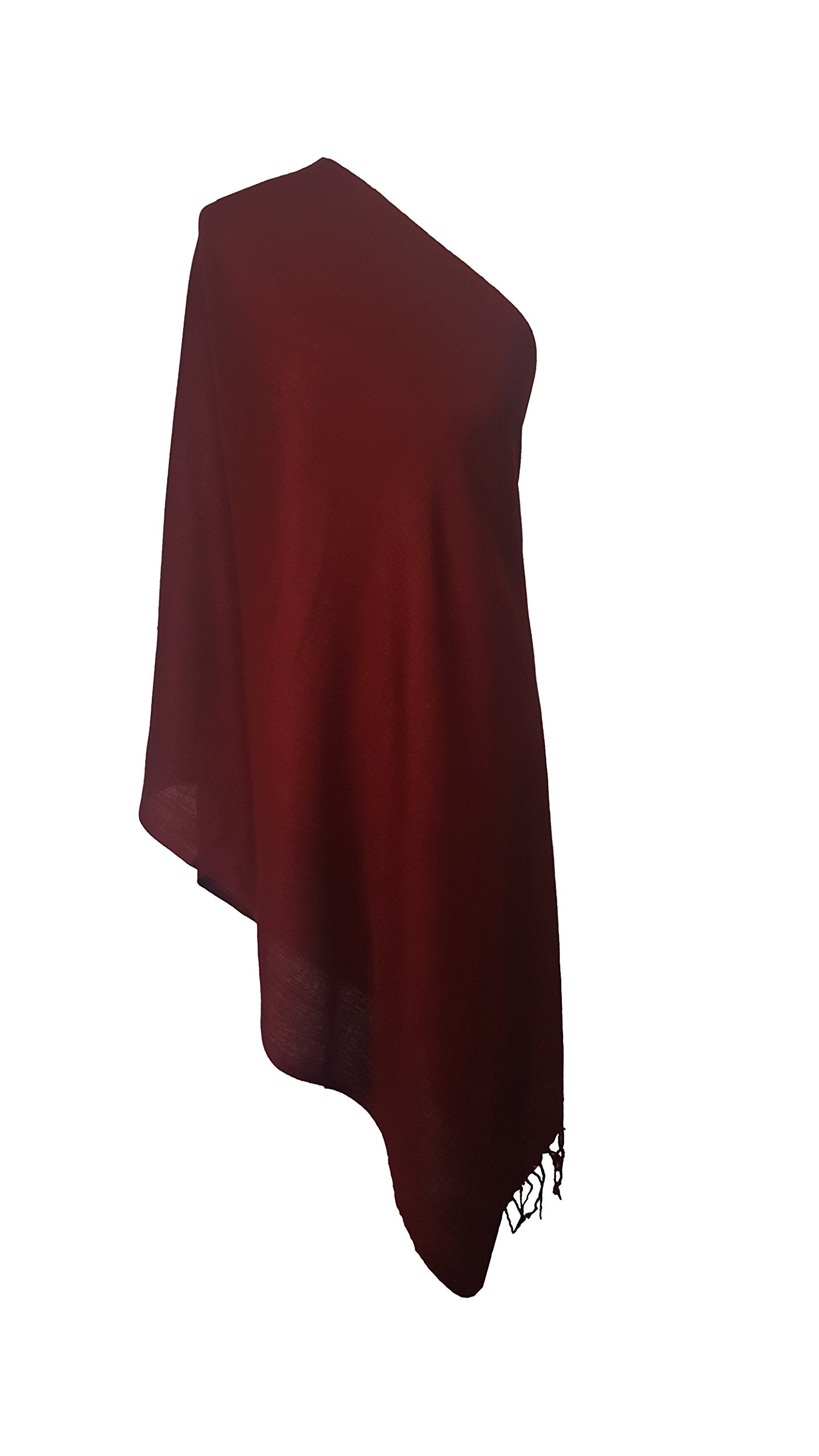 World of Shawls Exclusive Kashmiri Wool Pashmina Shawl Wrap Scarf